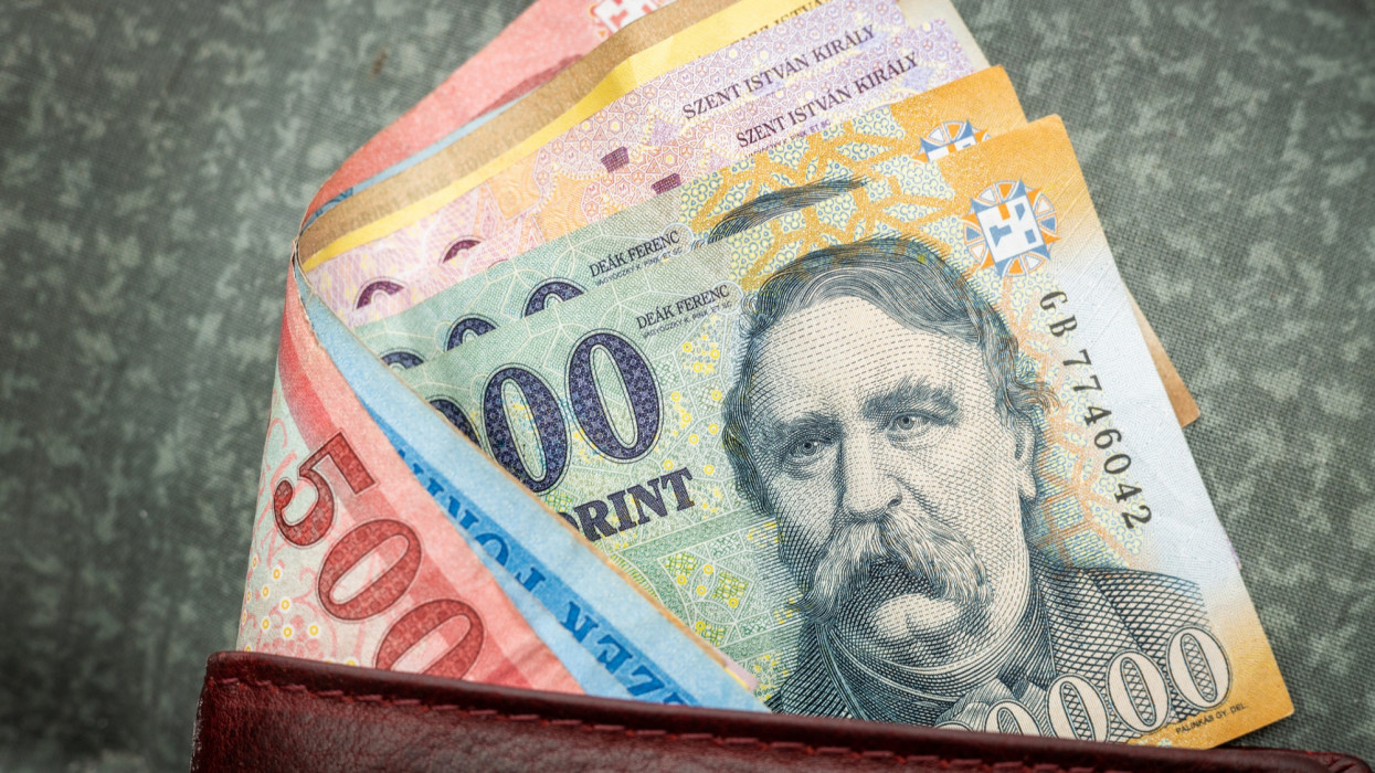 Hungarian money, forints, sticking out of a wallet, financial and economic concept,, close up